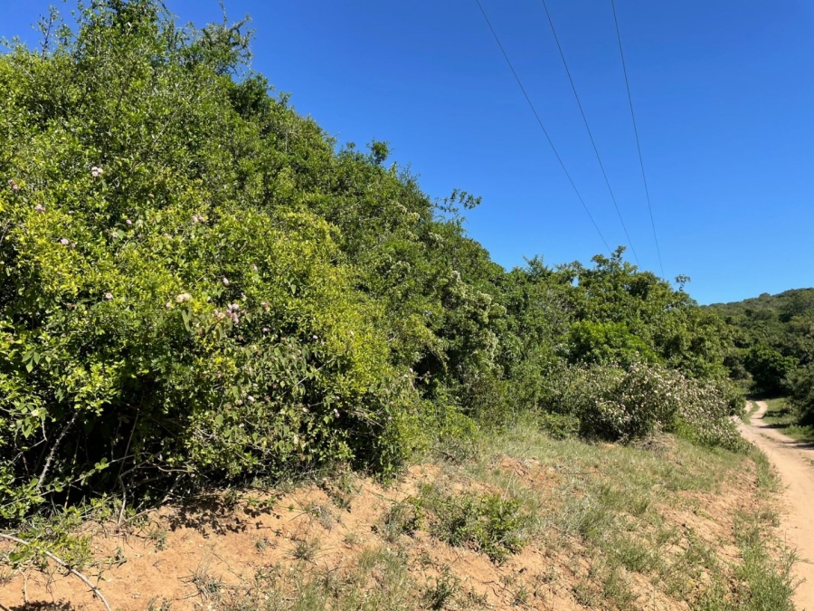 0 Bedroom Property for Sale in Bathurst Eastern Cape